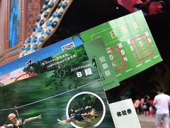 -西双版纳原始森林公园