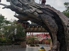 -厦门方特梦幻王国