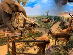 -陕西自然博物馆