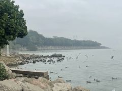 -深圳湾公园(南山区)