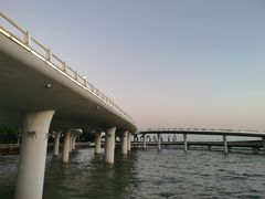 -演武大桥观景平台