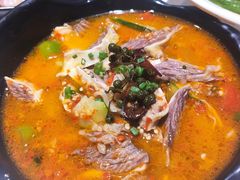 双椒牛腩-新仙清汤牛腩(铜锣湾店)