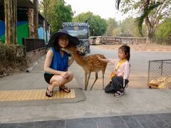 -清迈夜间动物园