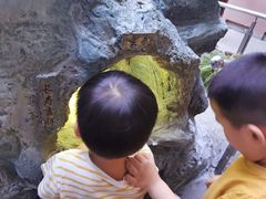 -陕西自然博物馆