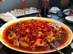 -甄御•海鲜新青岛菜(麦岛店)