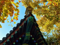 -北京石刻艺术博物馆(五塔寺)
