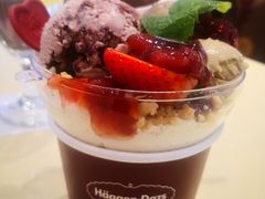 -哈根达斯(石家庄北国店)