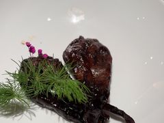 -杨氏青龙虾·羊蝎子(金盛路总店)