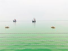 -贡湖湾湿地公园