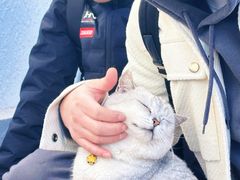 -辛庄国际文化艺术区