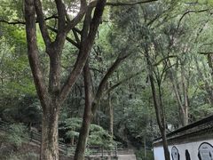 -上海佘山国家森林公园天马山园