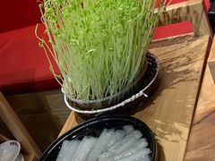 -好彩猪肚鸡(正弘城店)