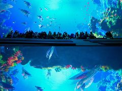 -海合安武汉极地海洋公园
