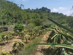 -广州锦绣香江度假别墅