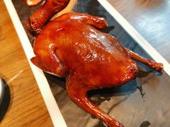 红烧鸽-大鸽饭(岗顶店)