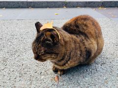 -苏州河梦清园环保主题公园