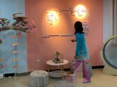 -喵宠乐园·撸猫互动·猫舍