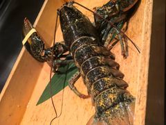 -Ginza Onodera铁板烧(外滩十八号店)