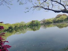 -西湖游船