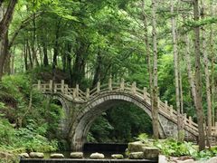 -洛阳白云山景区