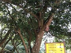 -普陀山慧济禅寺