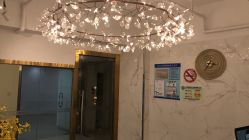 -潘多拉Hairsalon