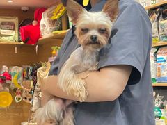 -帕帕拉兹宠物(亚洲旗舰店)