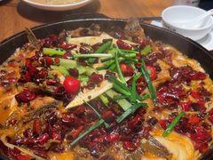 -老板恋上鱼(恒隆广场店)