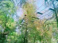 -清迈丛林飞跃 JungleFlight