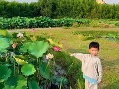 -池杉湖湿地公园