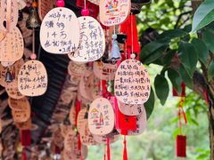 -黔灵山公园