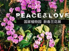 -北京植物园-展览温室