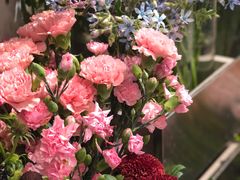 -植物学家的女儿(北马道巷店)