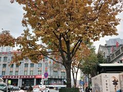 -中华巴洛克风情街