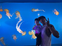 -太平洋海底世界