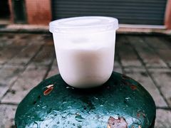椰子雪糕-洪馨椰子