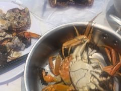 -半岛听涛蒸汽海鲜自助(K11店)