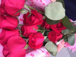 IDOI婚礼策划-IDOI婚礼策划·IDOIWEDDING