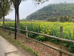 -狼山风景名胜区