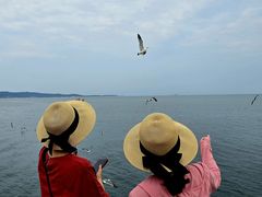 -悦海公园