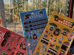 -合肥滨湖国家森林公园