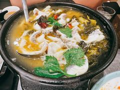 砂锅酸菜乌鱼片-陶德砂锅(营门口店)