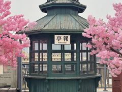 -武汉知音号