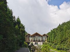 -武陵山森林公园