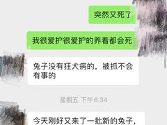 -宠物世家(仲盛世界商城店)