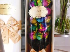 -ROSEONLY诺誓(国际广场购物中心店)