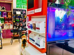 -芭比堂爱心动物医院(柯桥康爱分院)