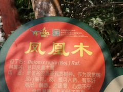 -呀诺达热带雨林