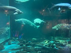 -华夏文旅海洋公园