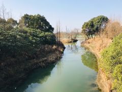 -贡湖湾湿地公园